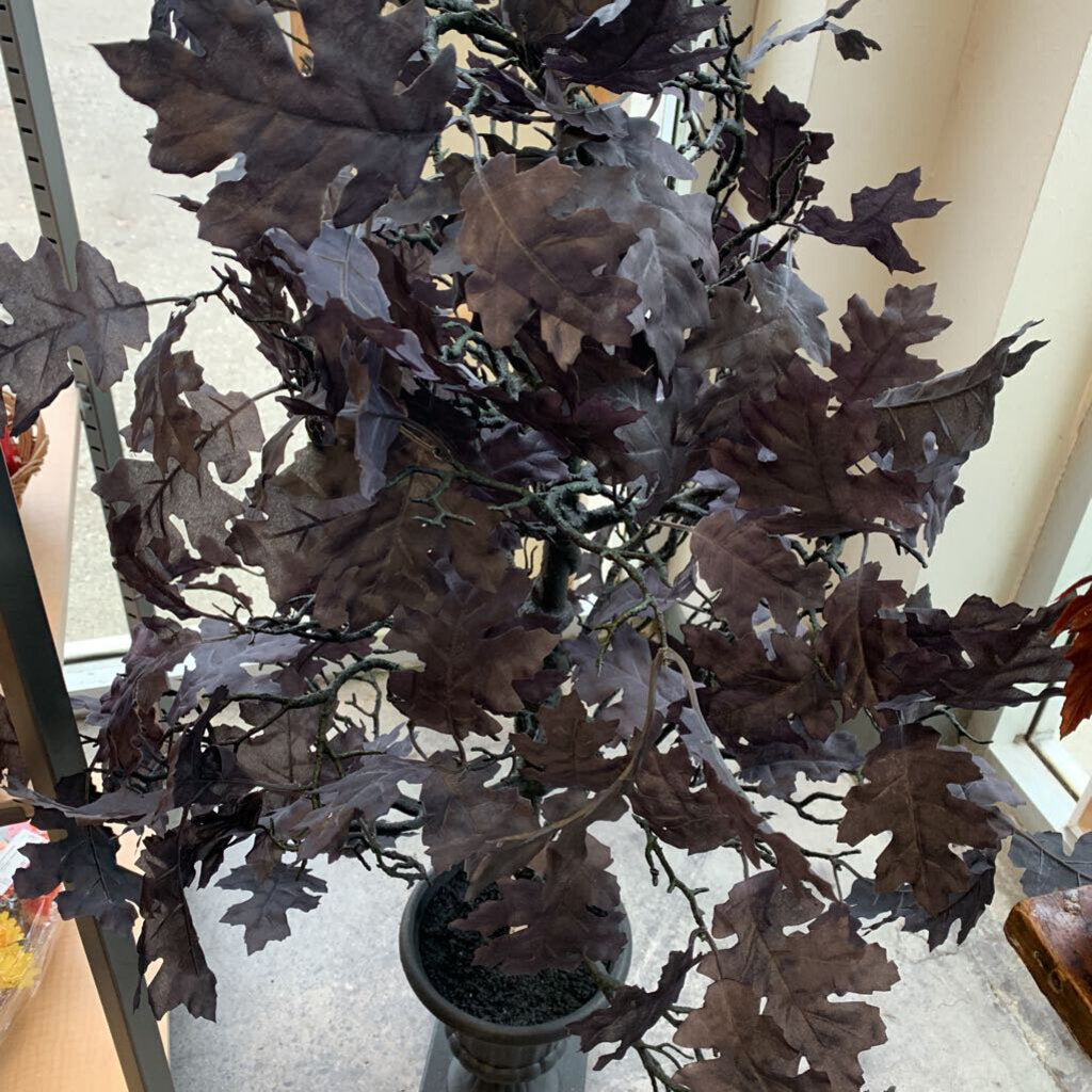 Oak Tree in Vase