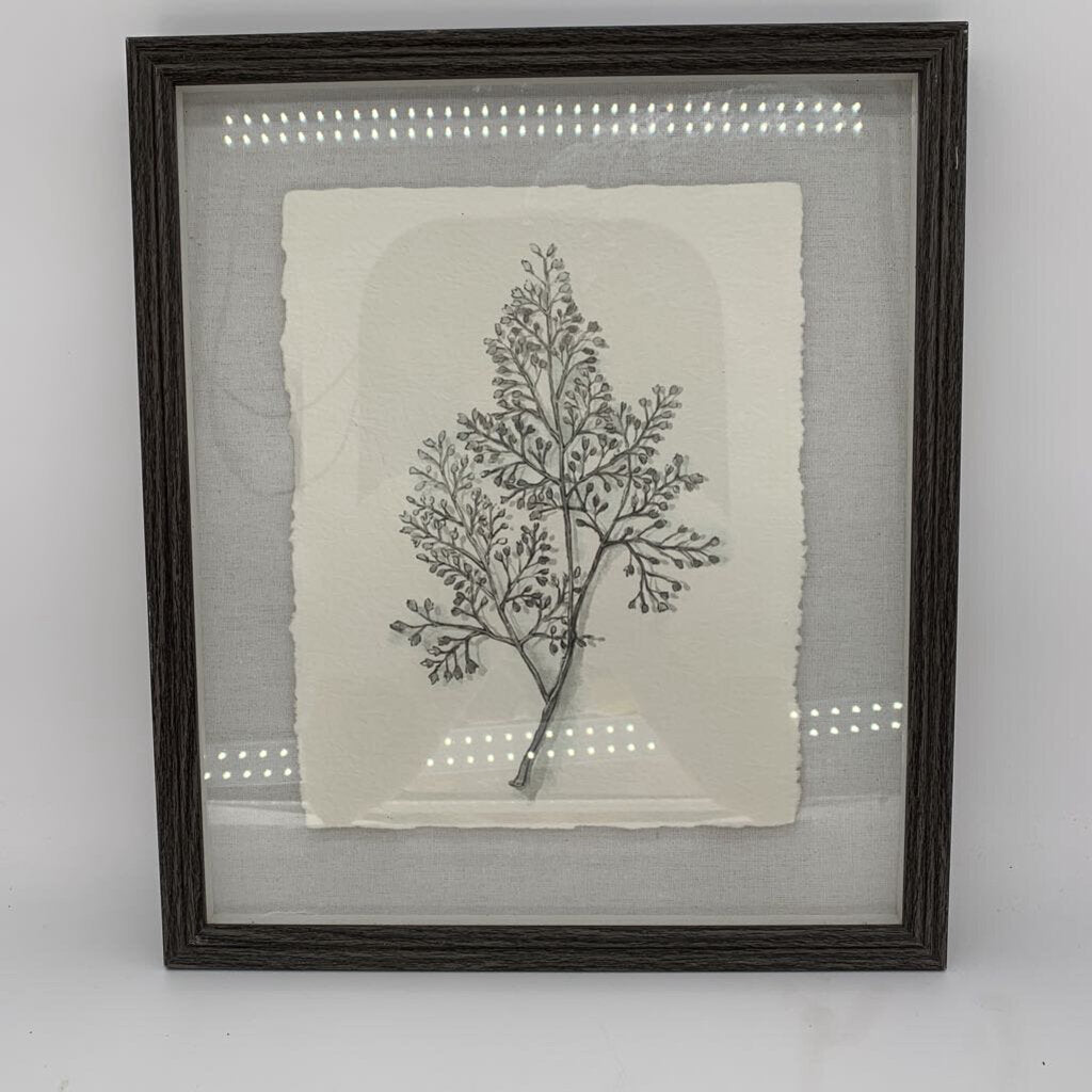 Framed Leaf Sketch
