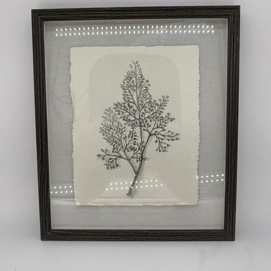 Framed Leaf Sketch