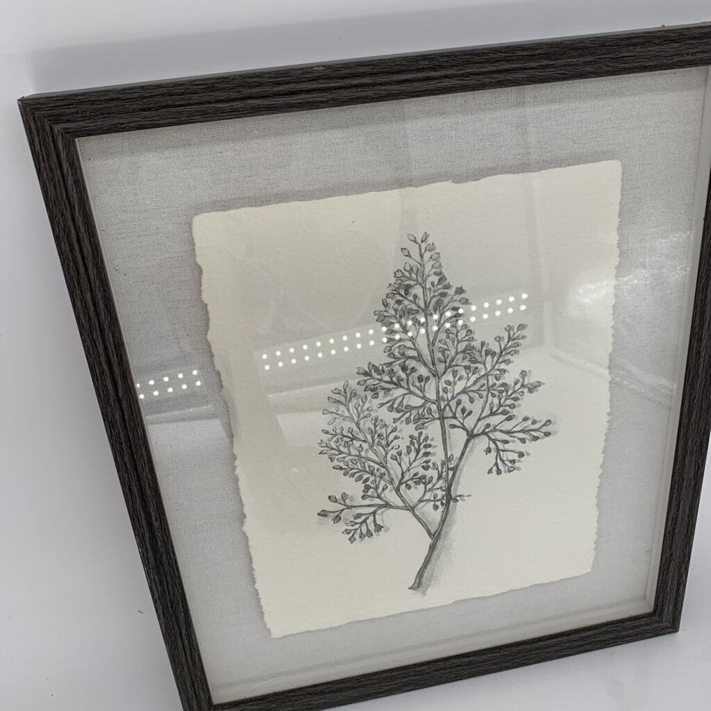 Framed Leaf Sketch