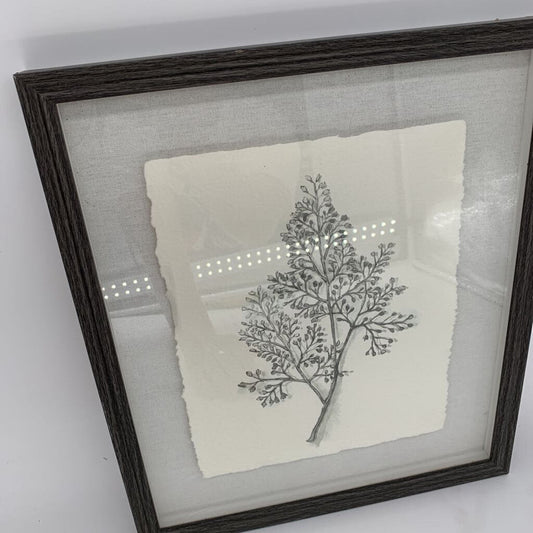 Framed Leaf Sketch