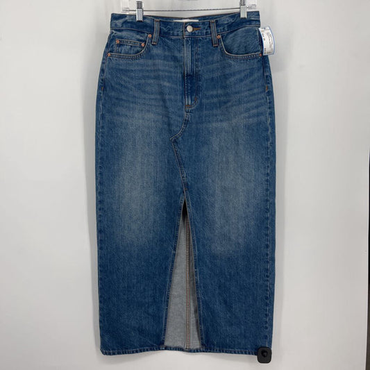 Denim Forum Maxi Skirt