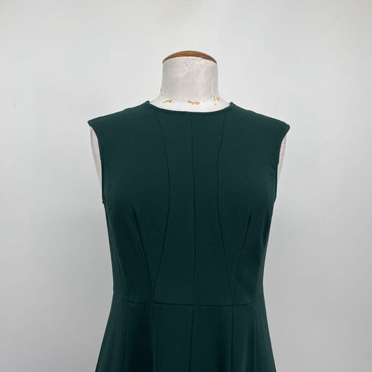 Ann Taylor slvls Dress