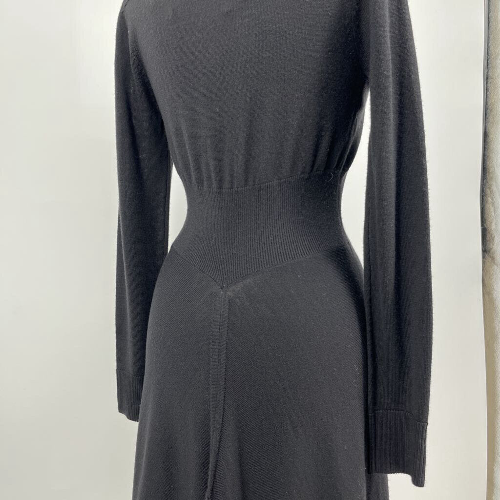Ann Taylor L/s Dress