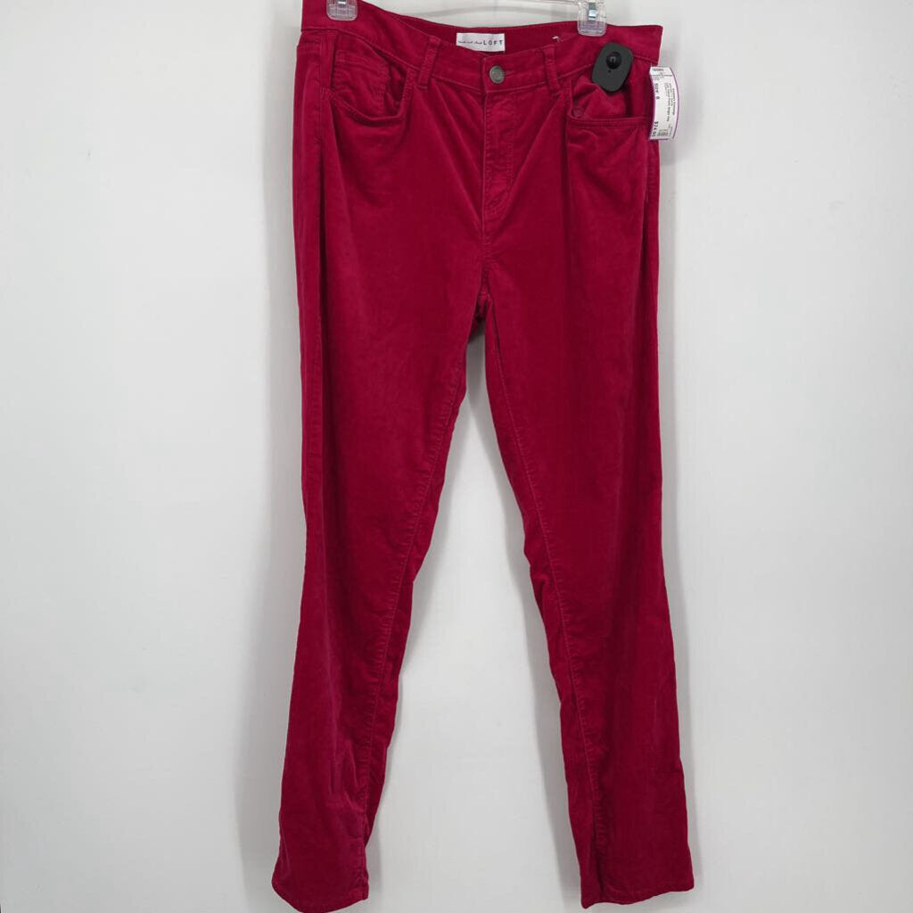 Loft Velvet Pants