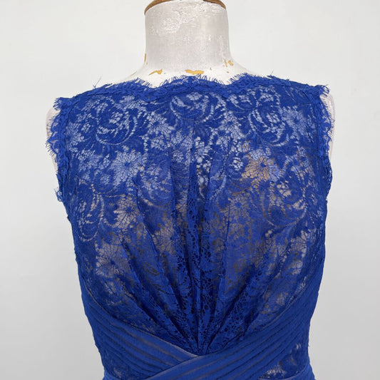 Tadashi Shoji slvls lace Dress