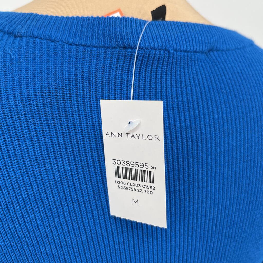 Ann Taylor L/s Shirt