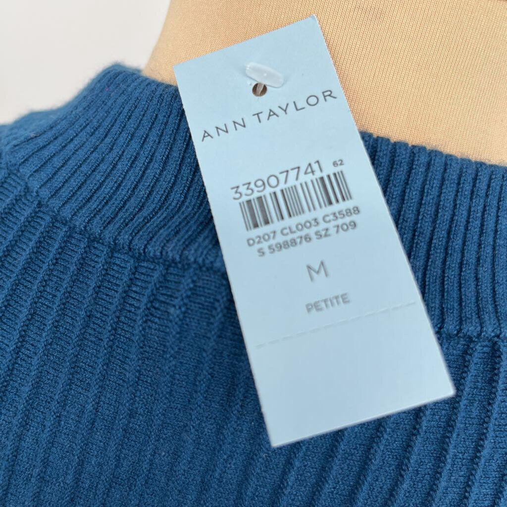 Ann Taylor lightweight l/s Sweater