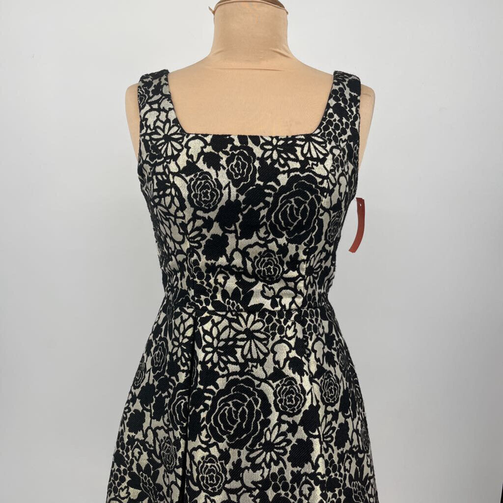 Francesca Slvls Dress