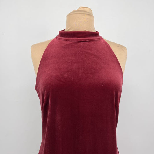 WHBM slvls velour Dress