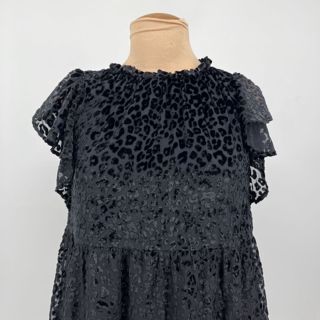 Loft S/s Velvet Dress