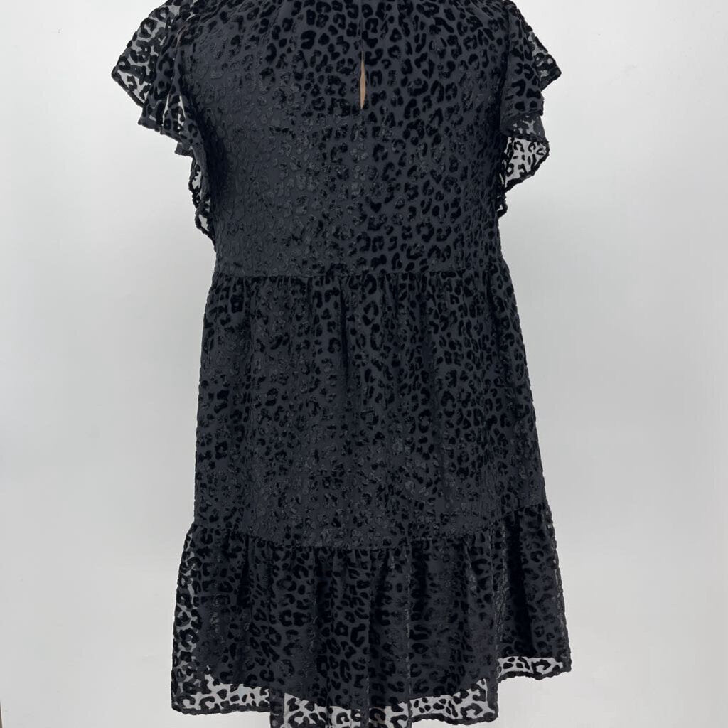 Loft S/s Velvet Dress