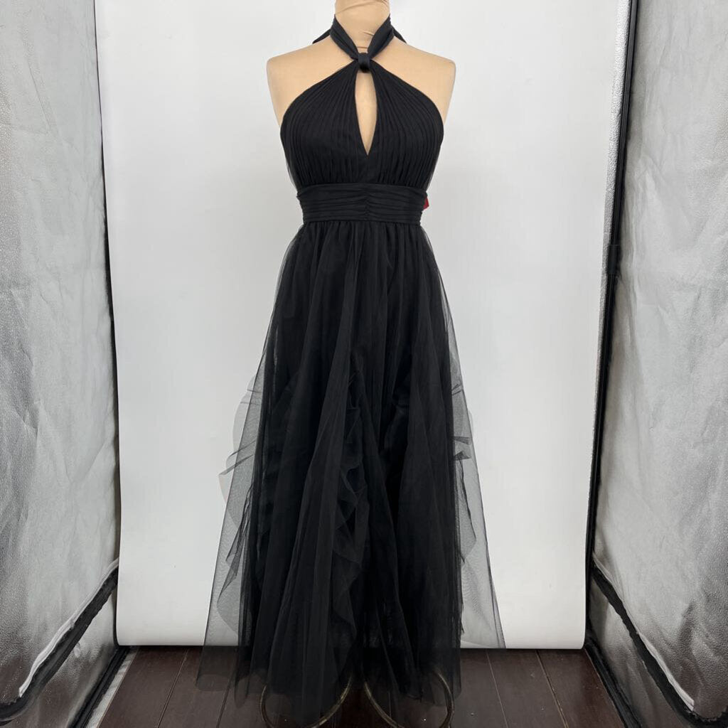 BCBG Slvls Tulle Dress
