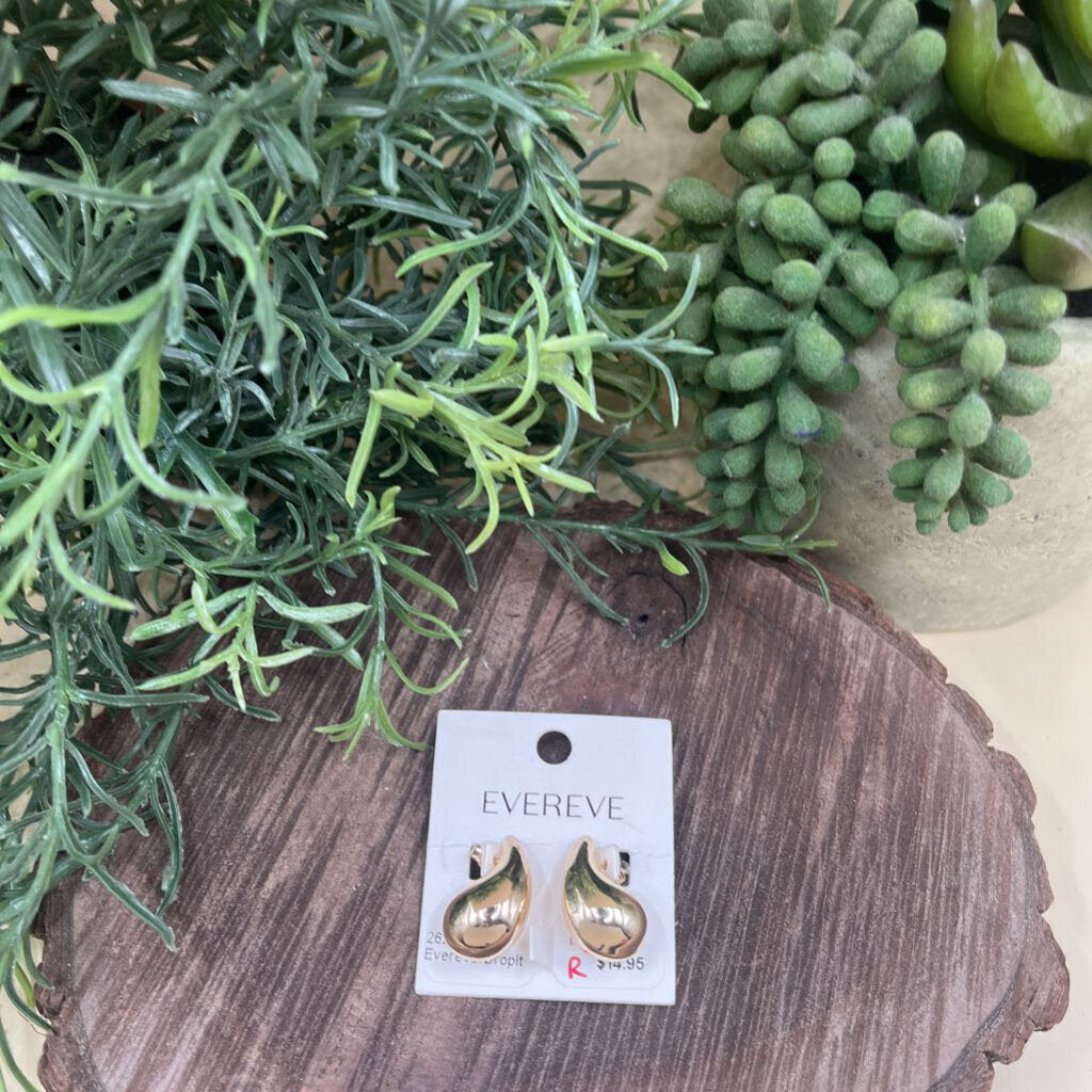 Evereve Droplet Earrings