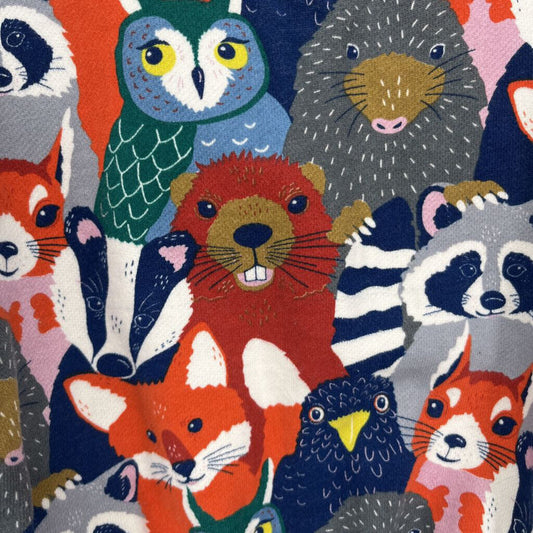 Mini Boden Sweatshirt