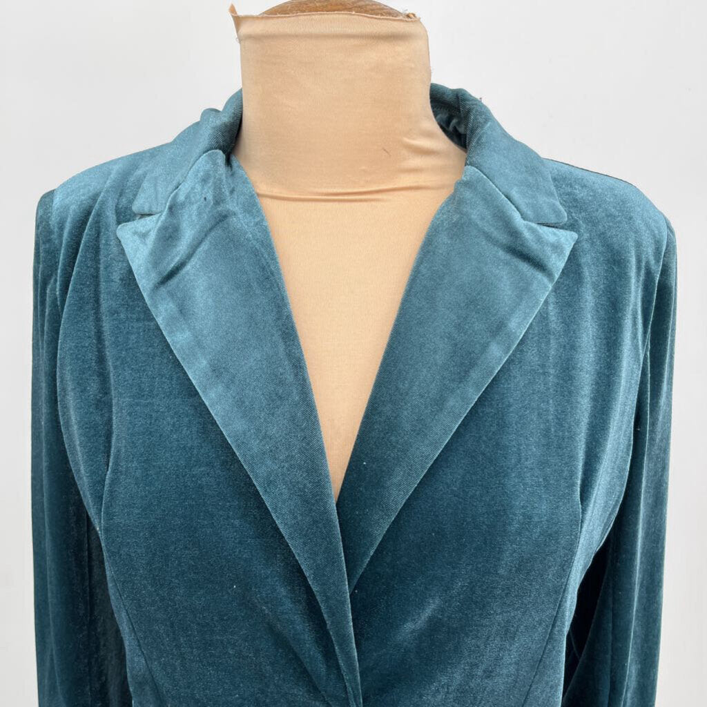 Molly Bracken Velour Blazer