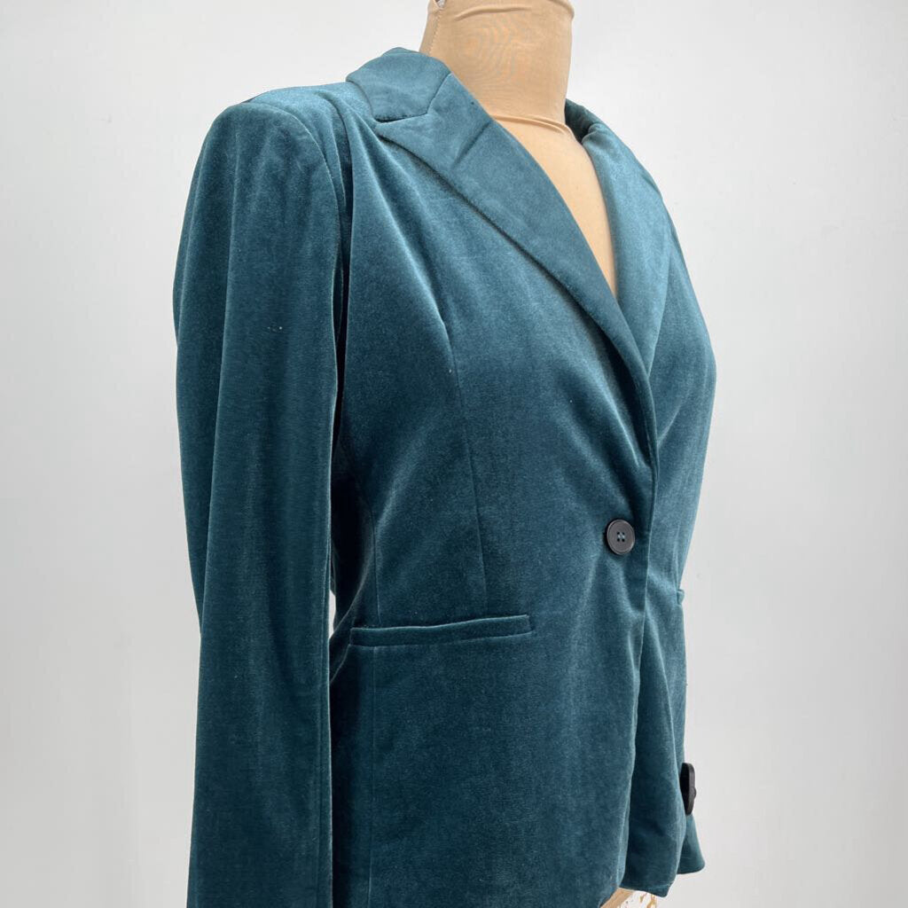 Molly Bracken Velour Blazer