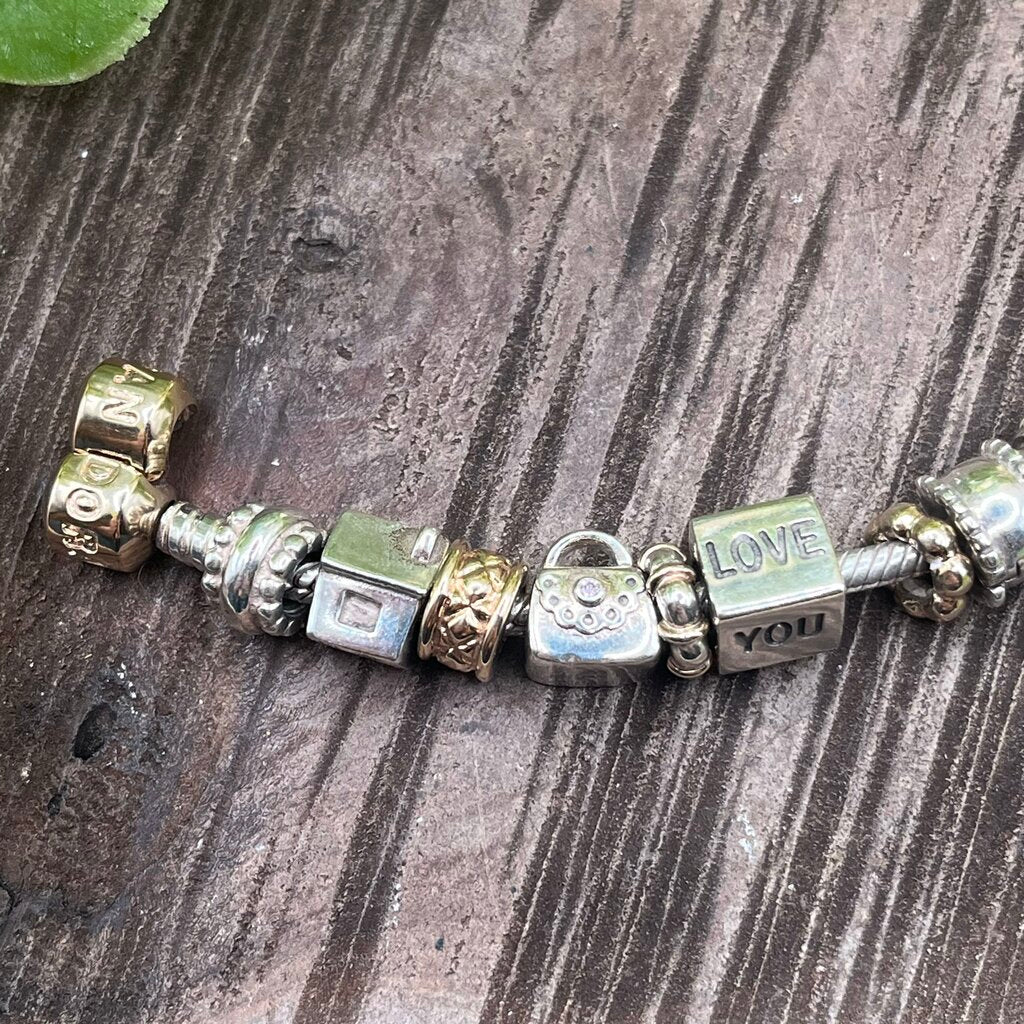 Pandora Charm Bracelet