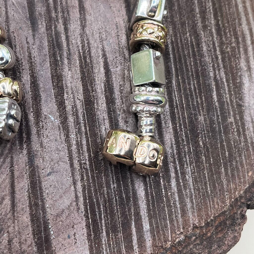 Pandora Charm Bracelet