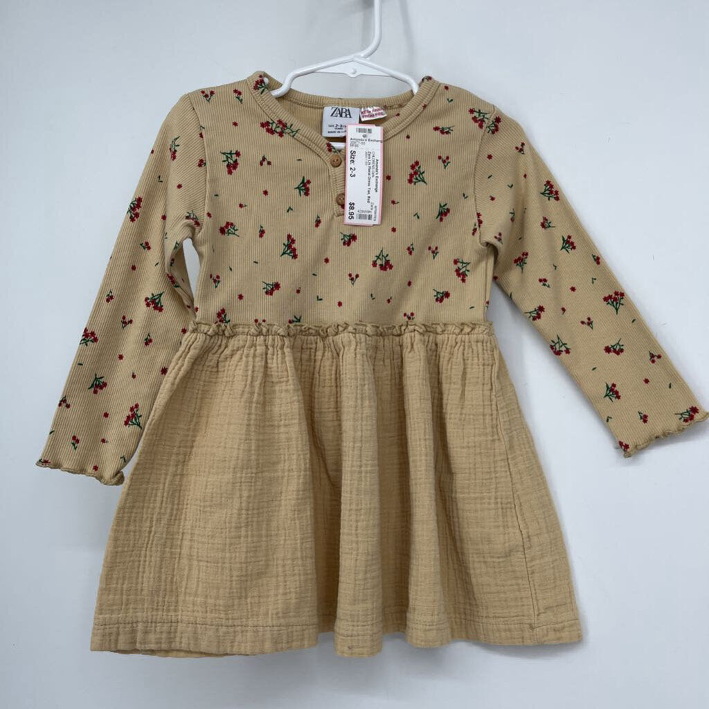 Zara L/s Floral Dress