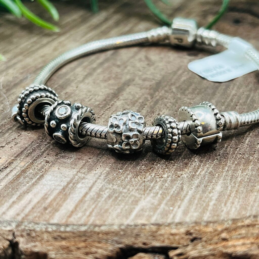Pandora Charm Bracelet