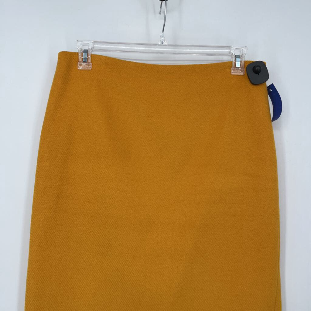 Talbots Skirt