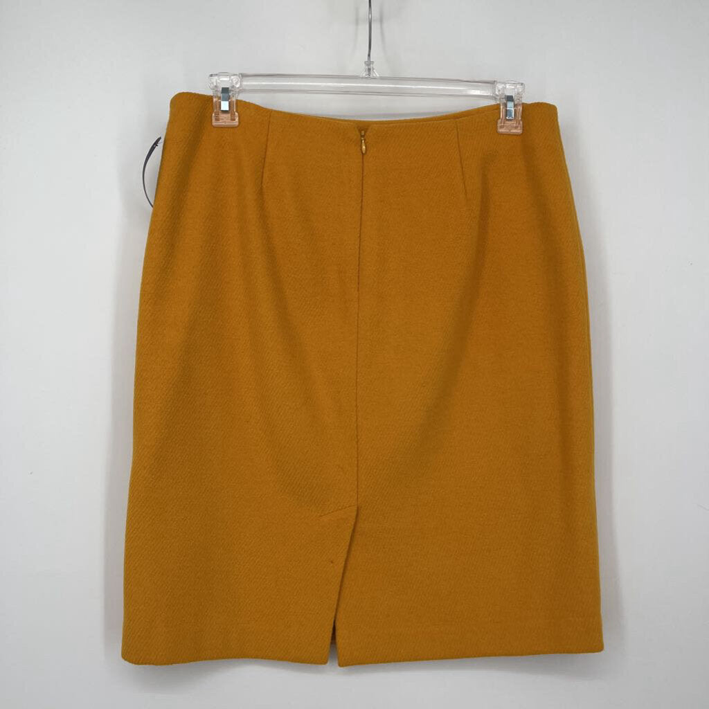 Talbots Skirt