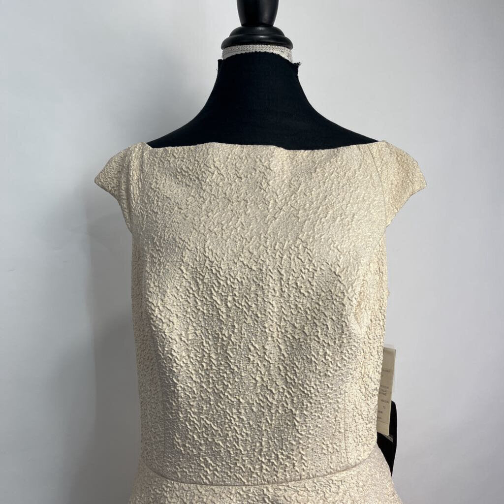 Teri John Long Dress