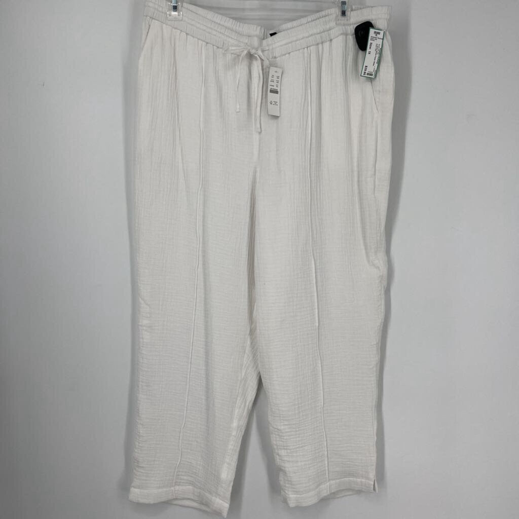 J. Crew Gauze Pants