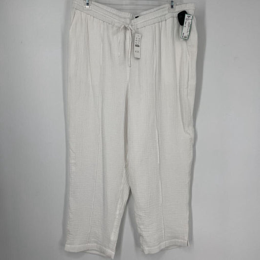 J. Crew Gauze Pants
