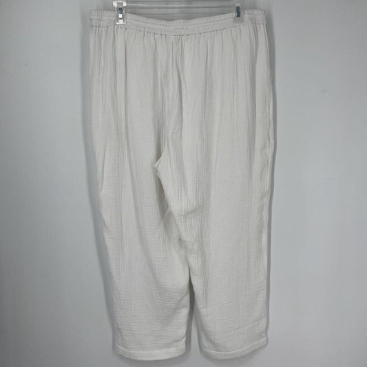 J. Crew Gauze Pants