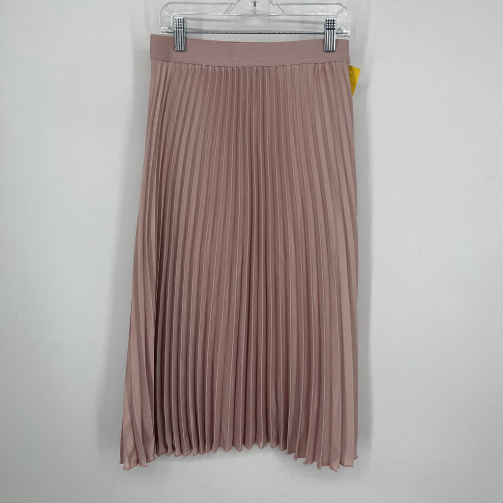 H&M Pleat Skirt