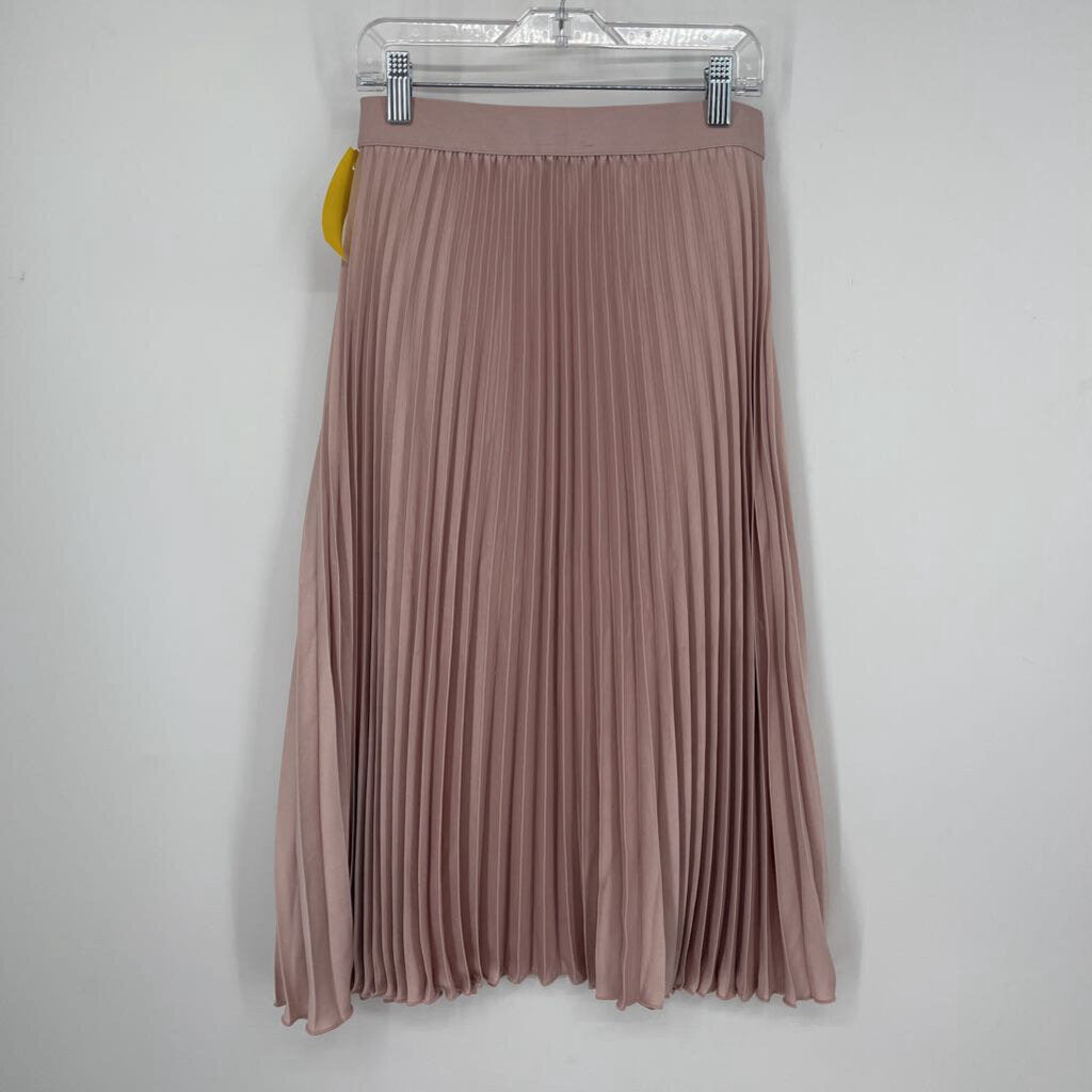 H&M Pleat Skirt