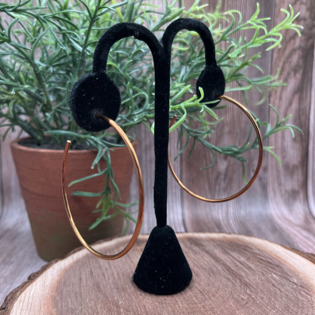 Michael Kors Hoop Earrings