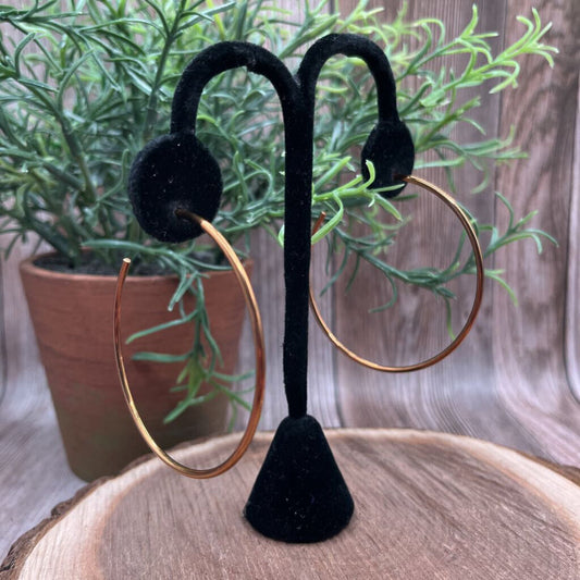 Michael Kors Hoop Earrings