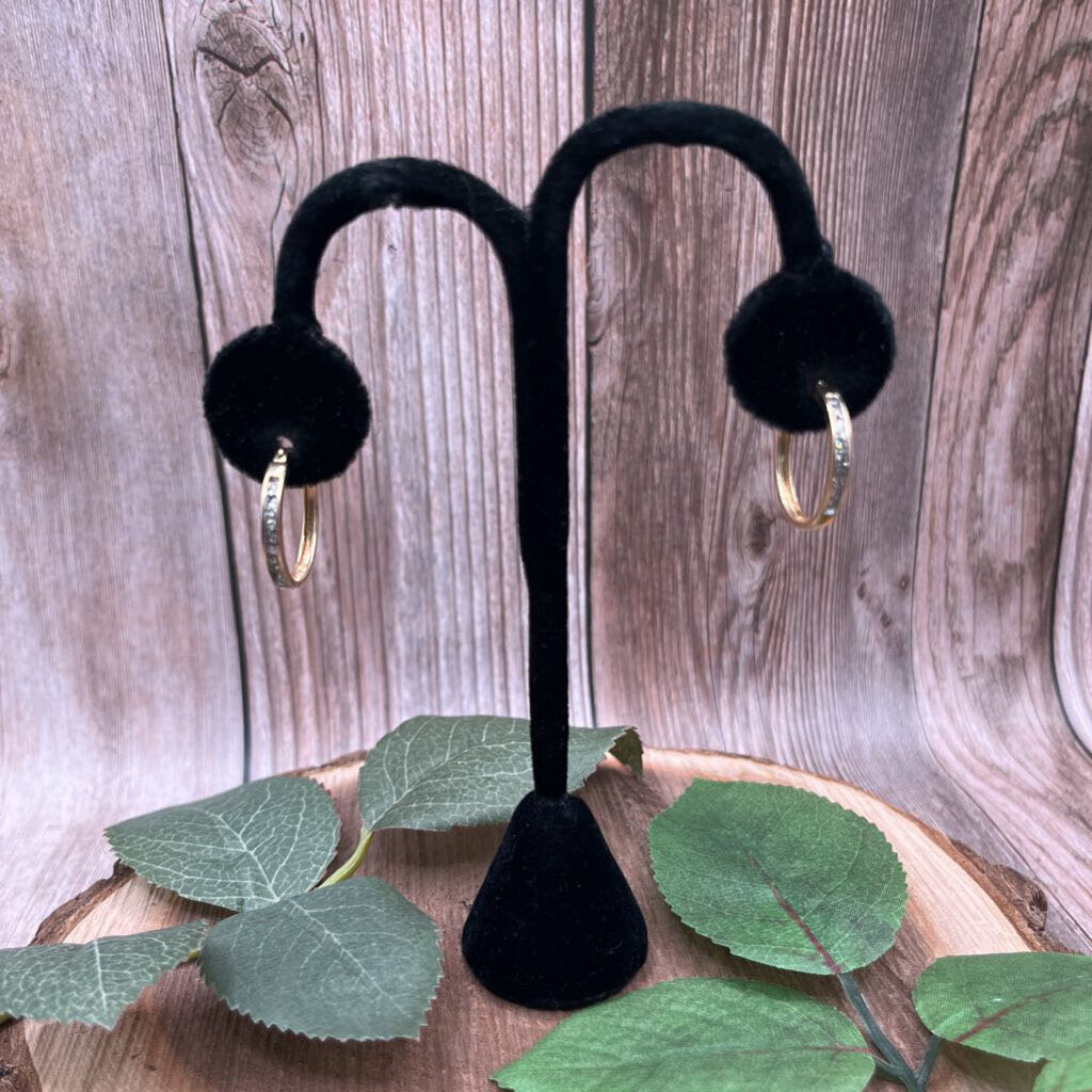 10k YG & Diamond Hook Earrings