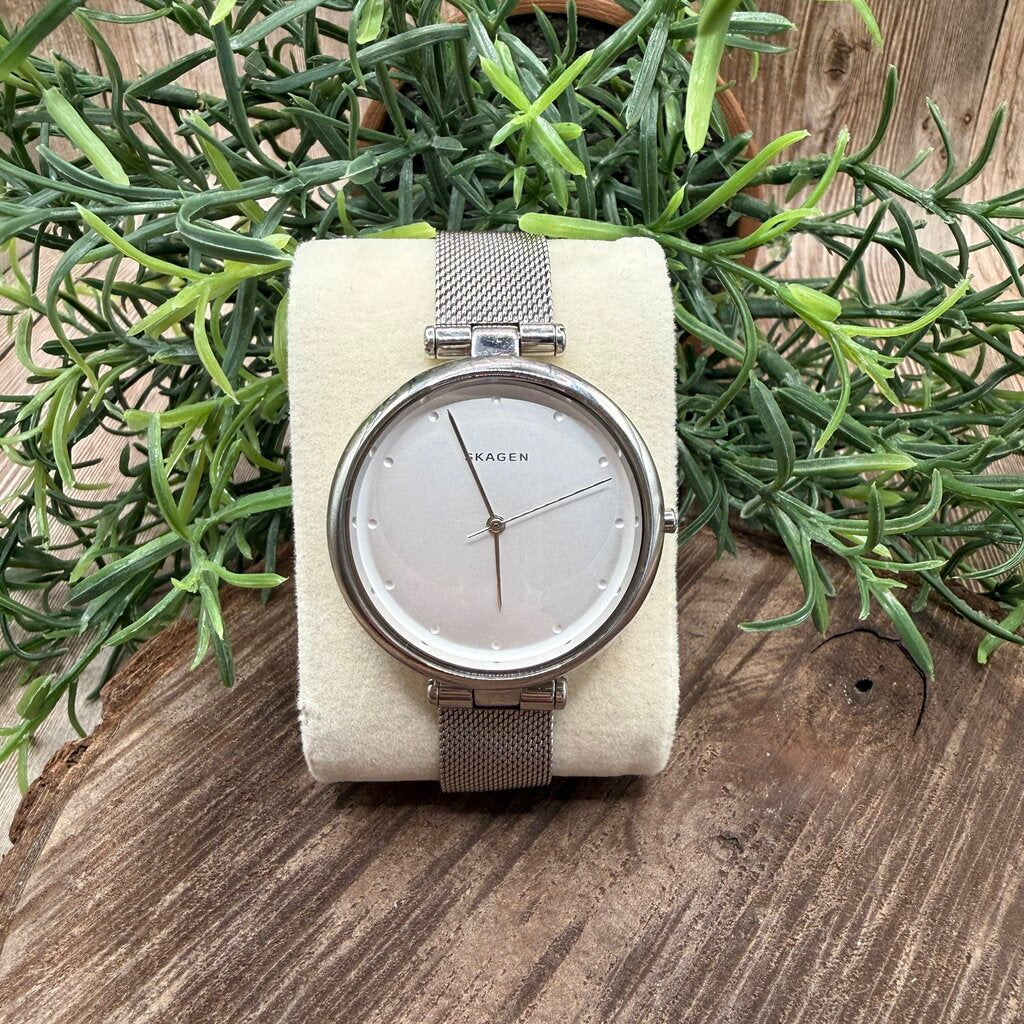 Skagen Watch SKW2485