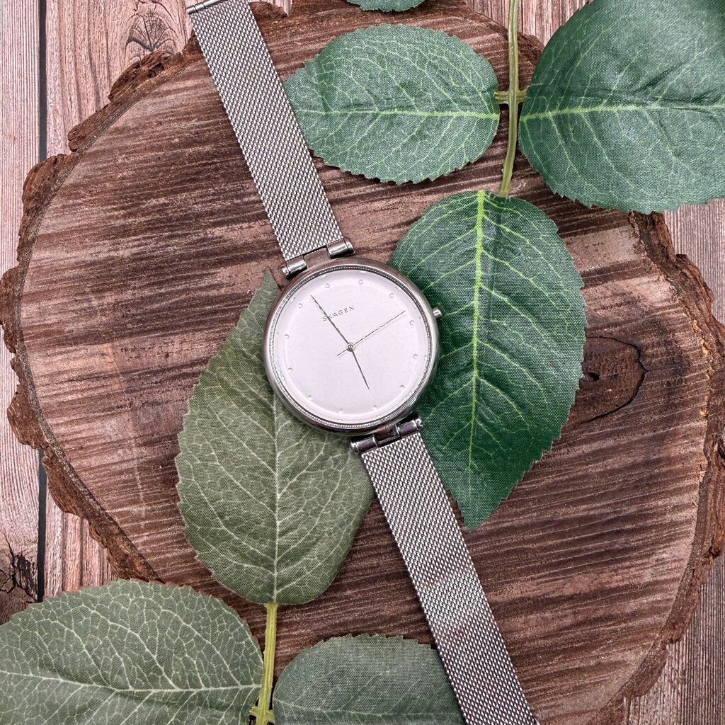 Skagen Watch SKW2485