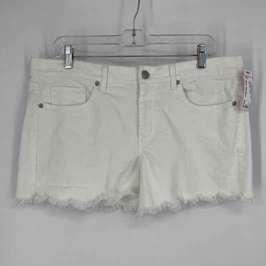 Loft Shorts