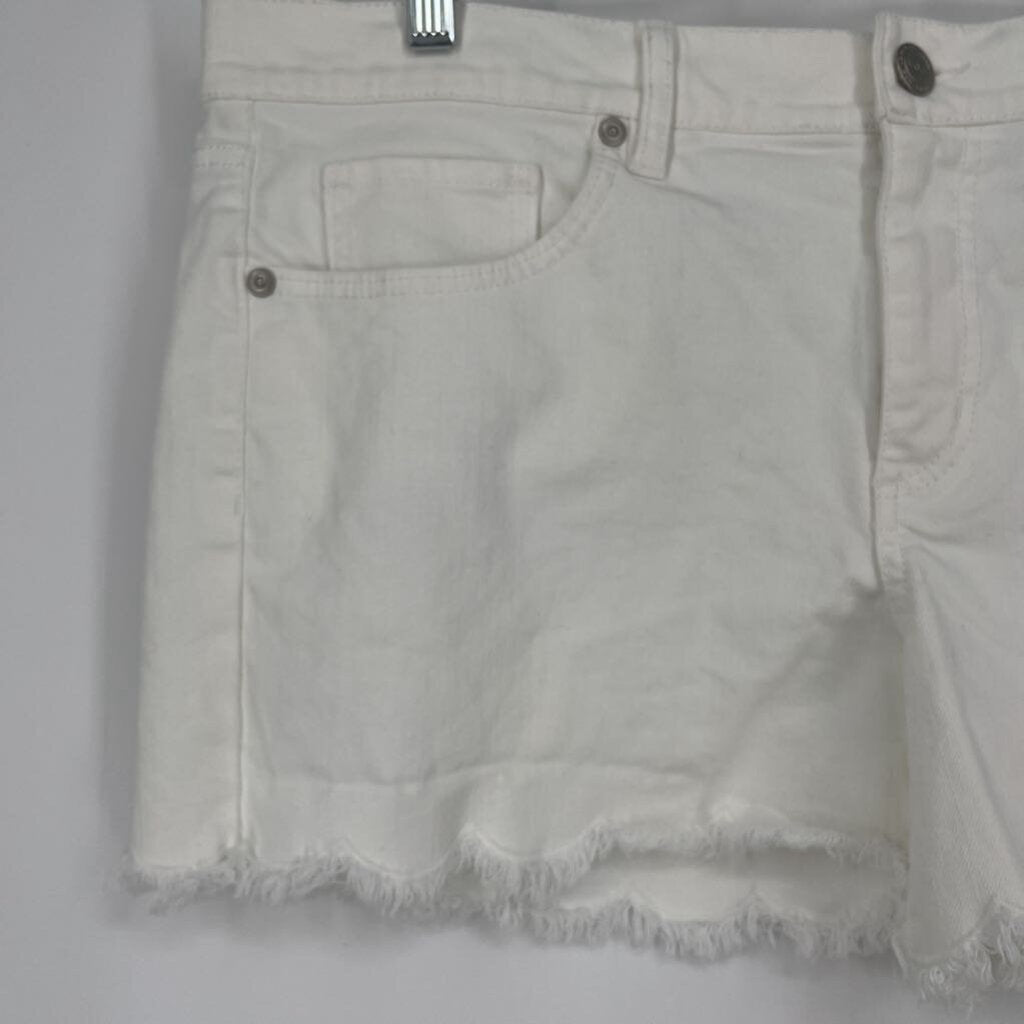 Loft Shorts