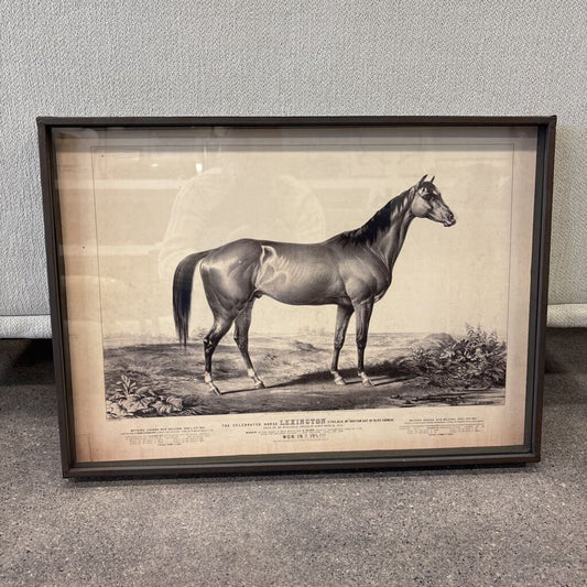 Framed American Eclipse Horse Print