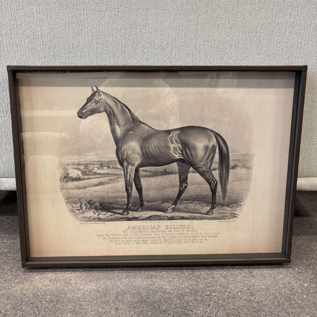 Framed Lexington Horse Print