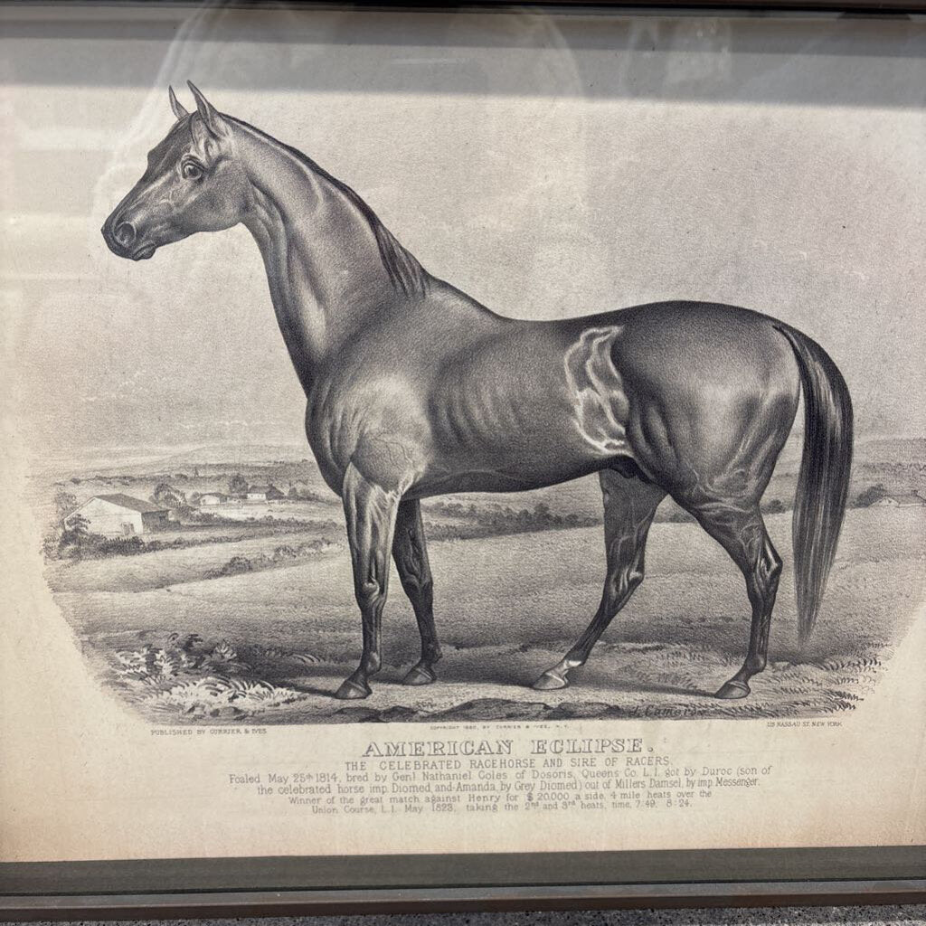 Framed Lexington Horse Print