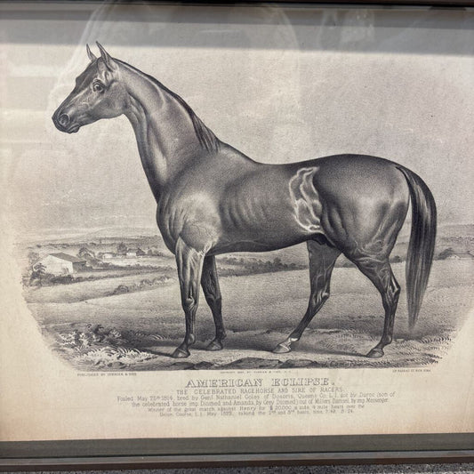 Framed Lexington Horse Print