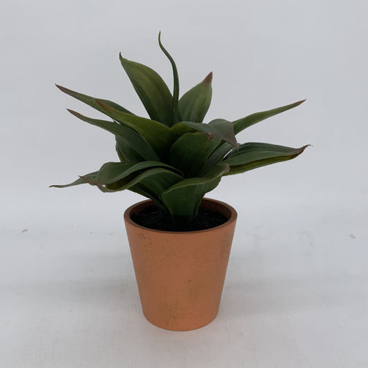 Faux Aloe in Pot