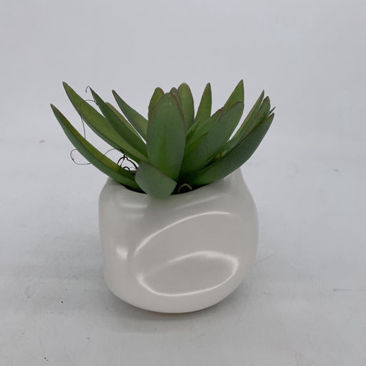 Faux Aloe in Dimple Planter
