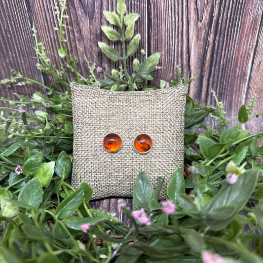 Amber & Sterling Stud Earrings