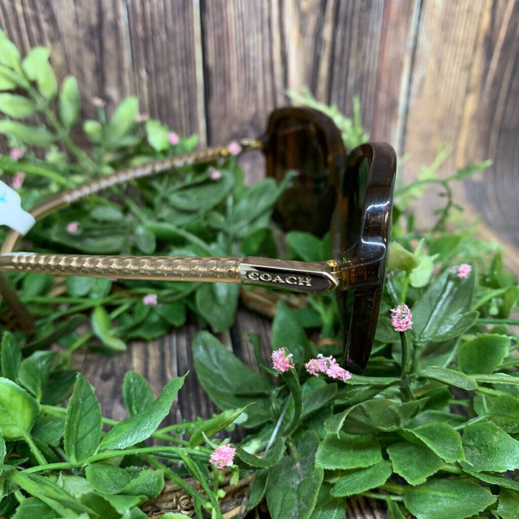 Coach HC8152 Sunglasses