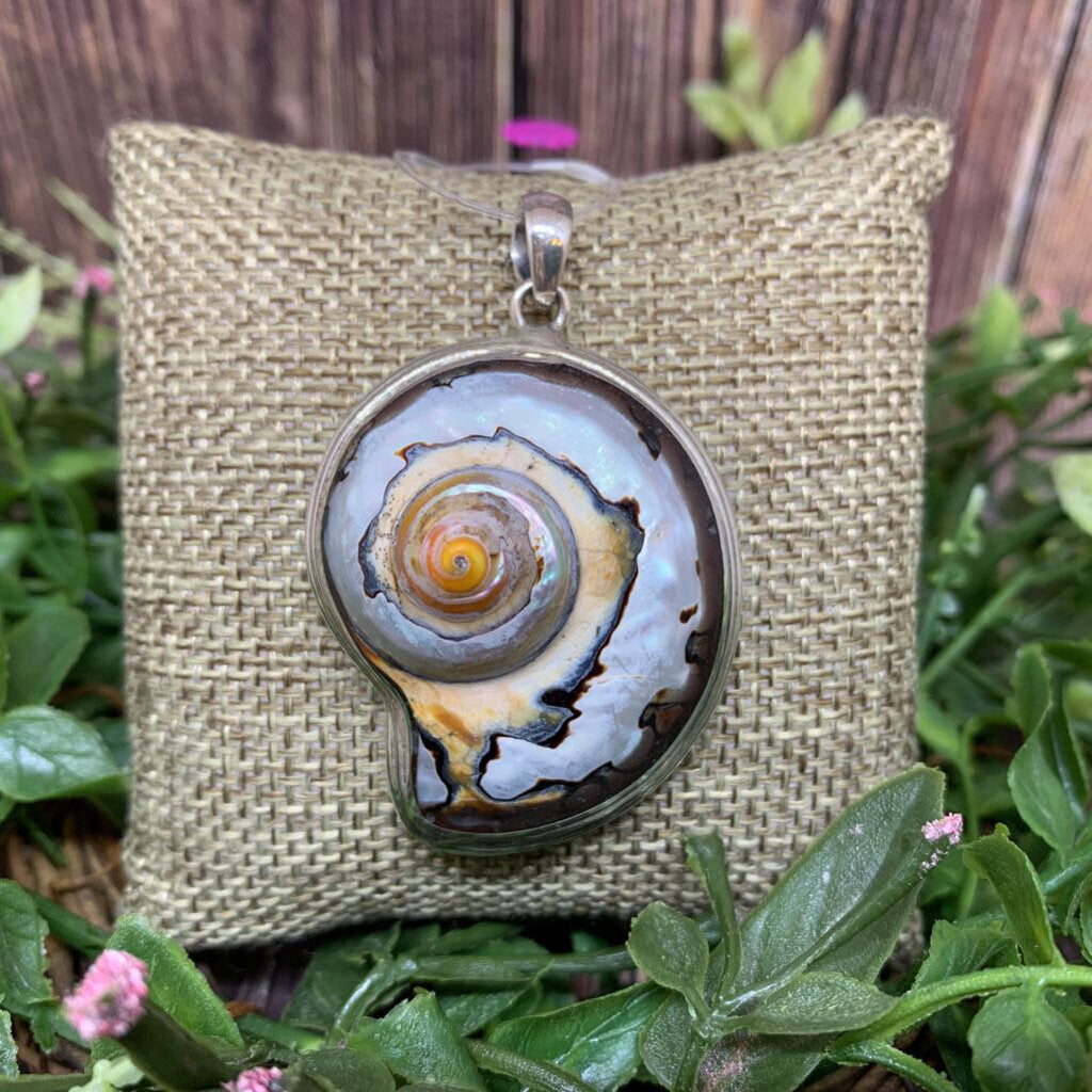 Sterling Nautilus Shell Pendant
