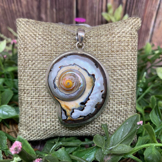 Sterling Nautilus Shell Pendant